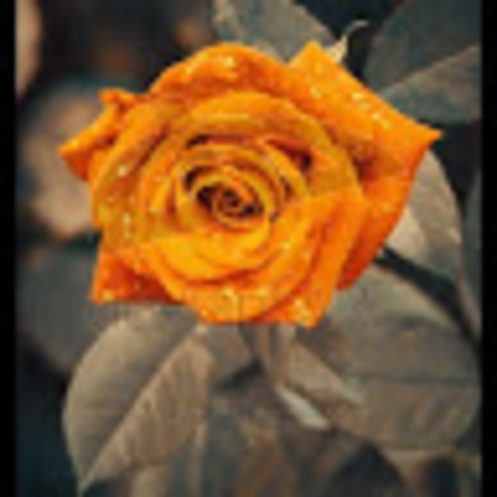 Meet your Posher, Jamiebelly7905